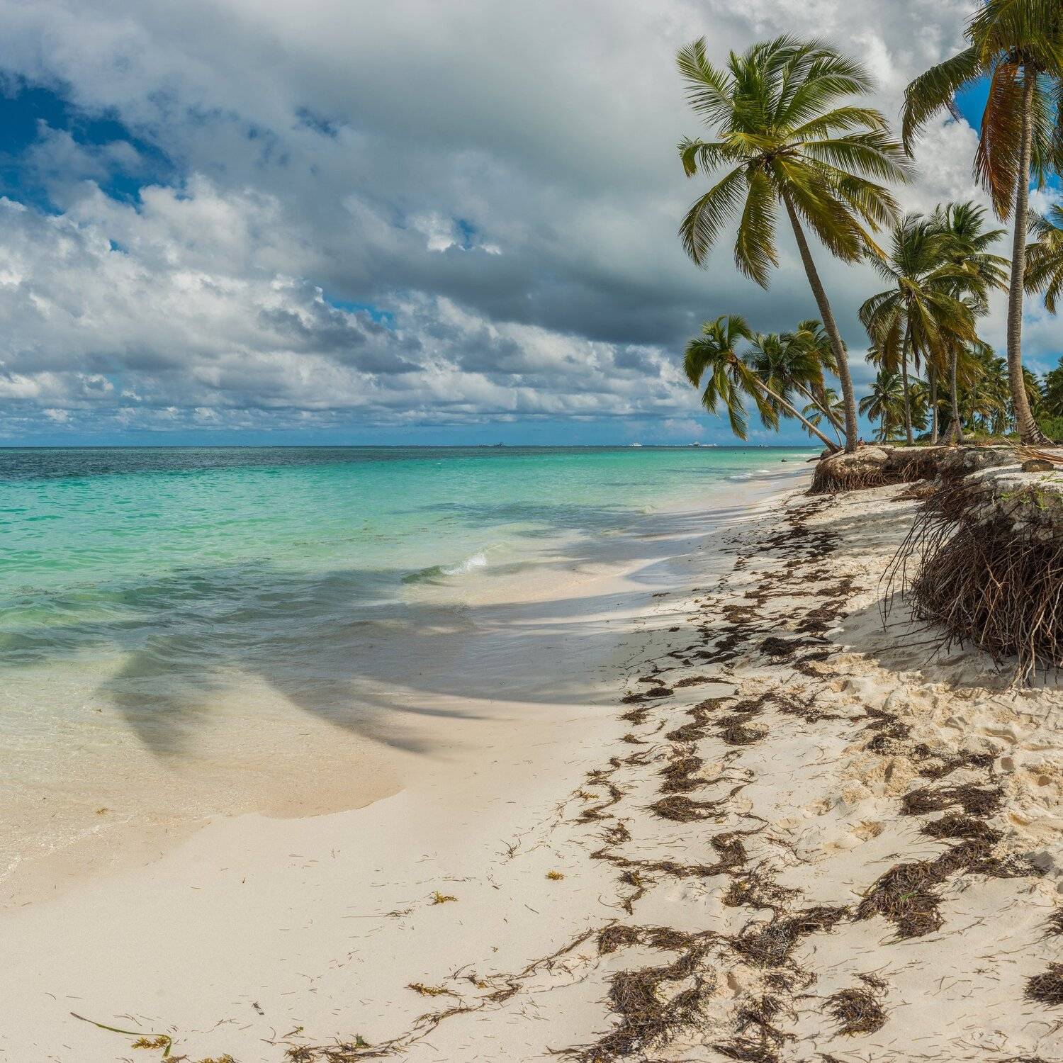 , Сергей Ослопов