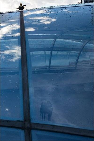 софия, Denis Buchel (Денис Бучель)