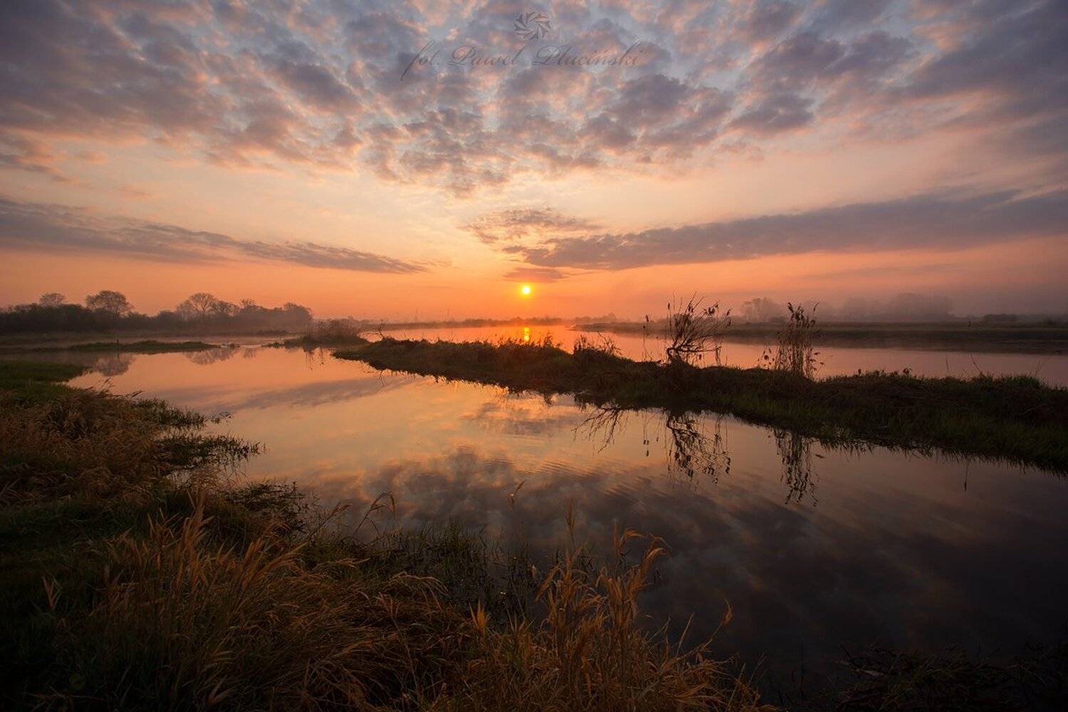 , Pawel Plucinski
