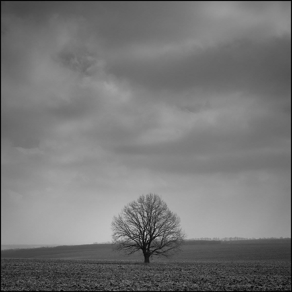 , Борисенко Денис