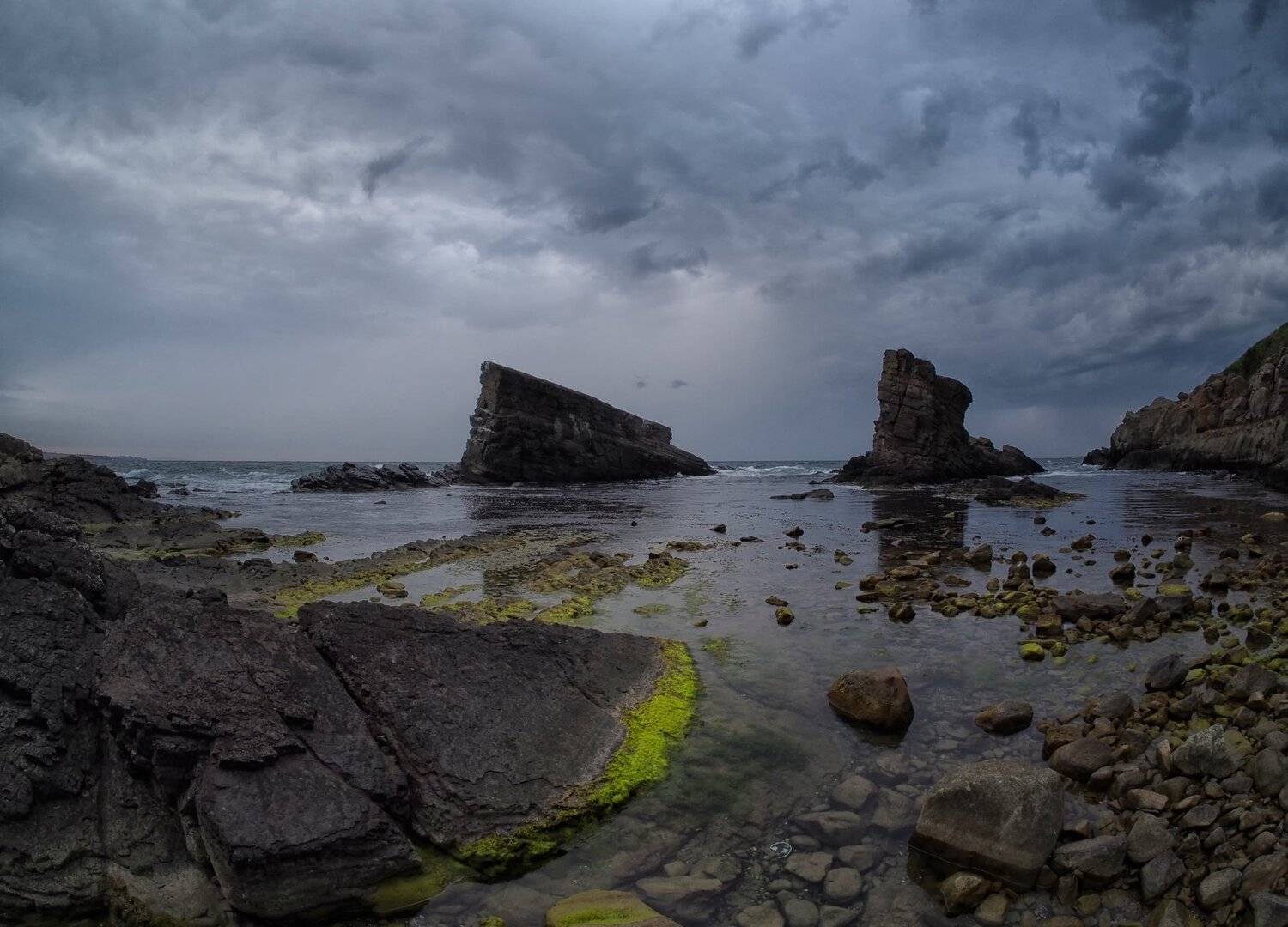 , Димитър Стоянов