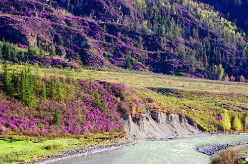 Алтайская визитка