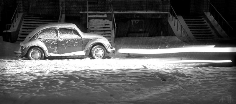 Жук фото превью