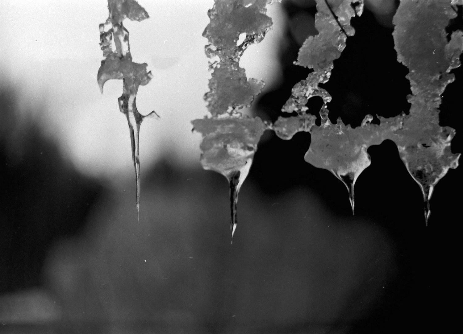 пленка, Иван Домарацкий