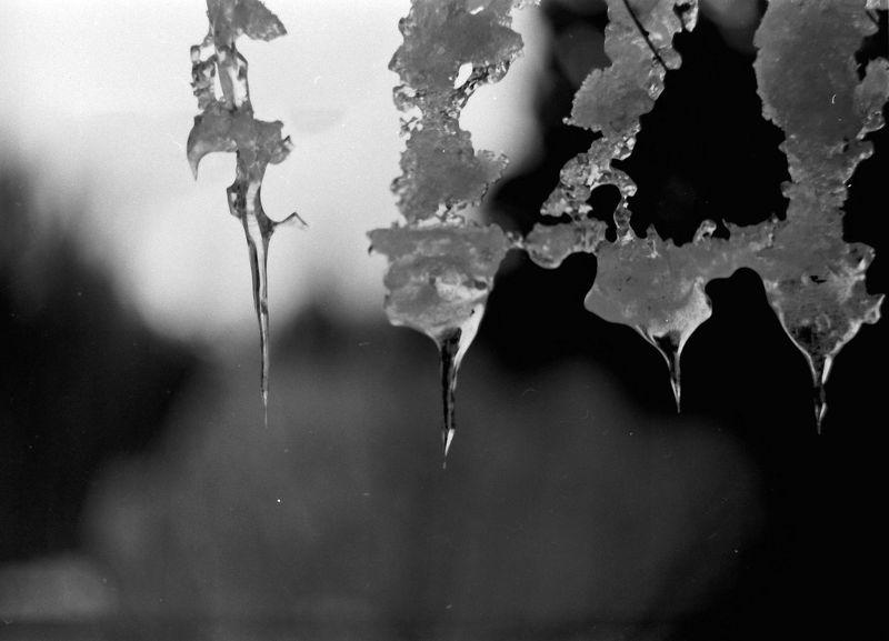 пленка Последнее дыхание зимы фото превью