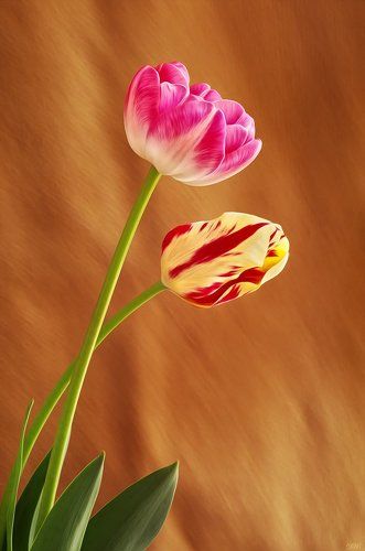 Apotheosis of Spring