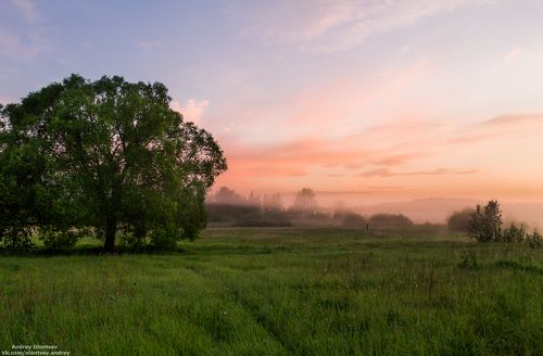 Утро у реки.