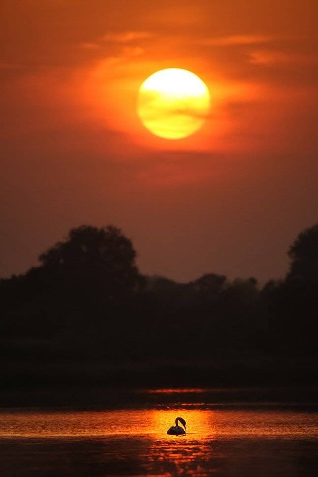 , Вячеслав Мищенко