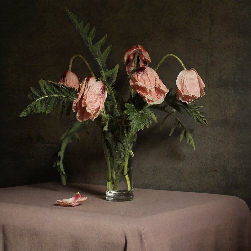 МАКИ фото превью