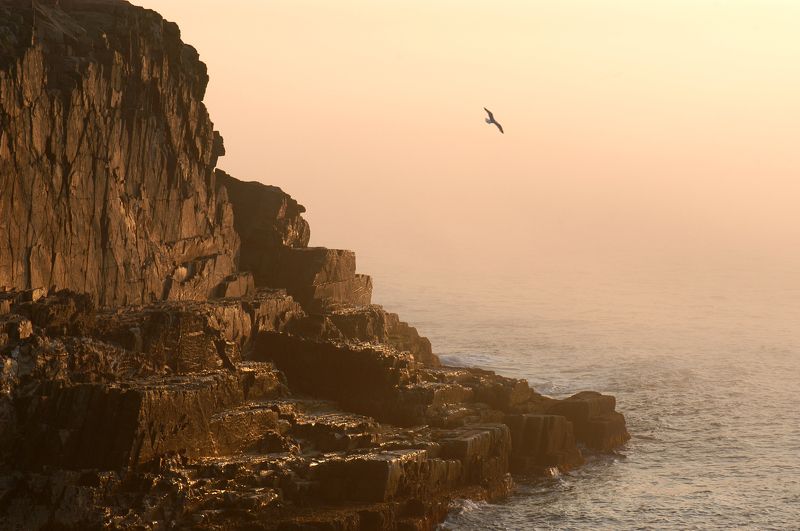 Утренний полет фото превью