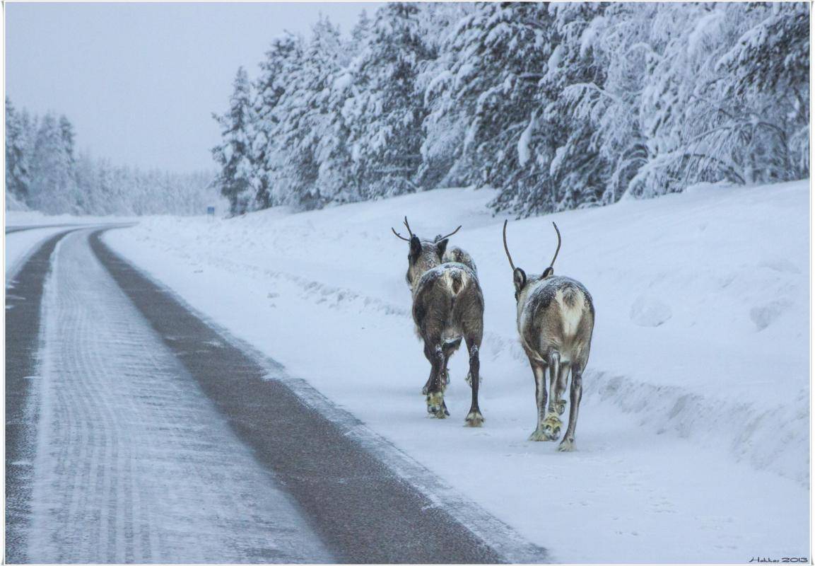 , Lapland