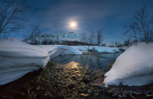 Весенние вечера