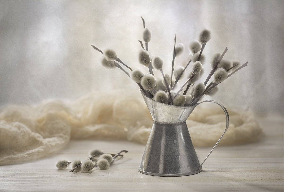 , Наталья Бочкарева