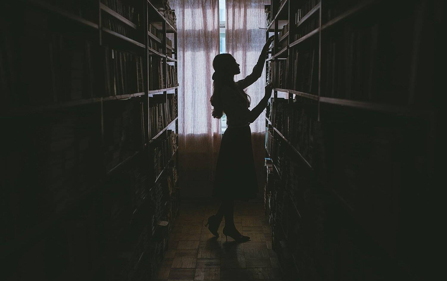 девушка, книги, библиотека, Евгений Толкачёв