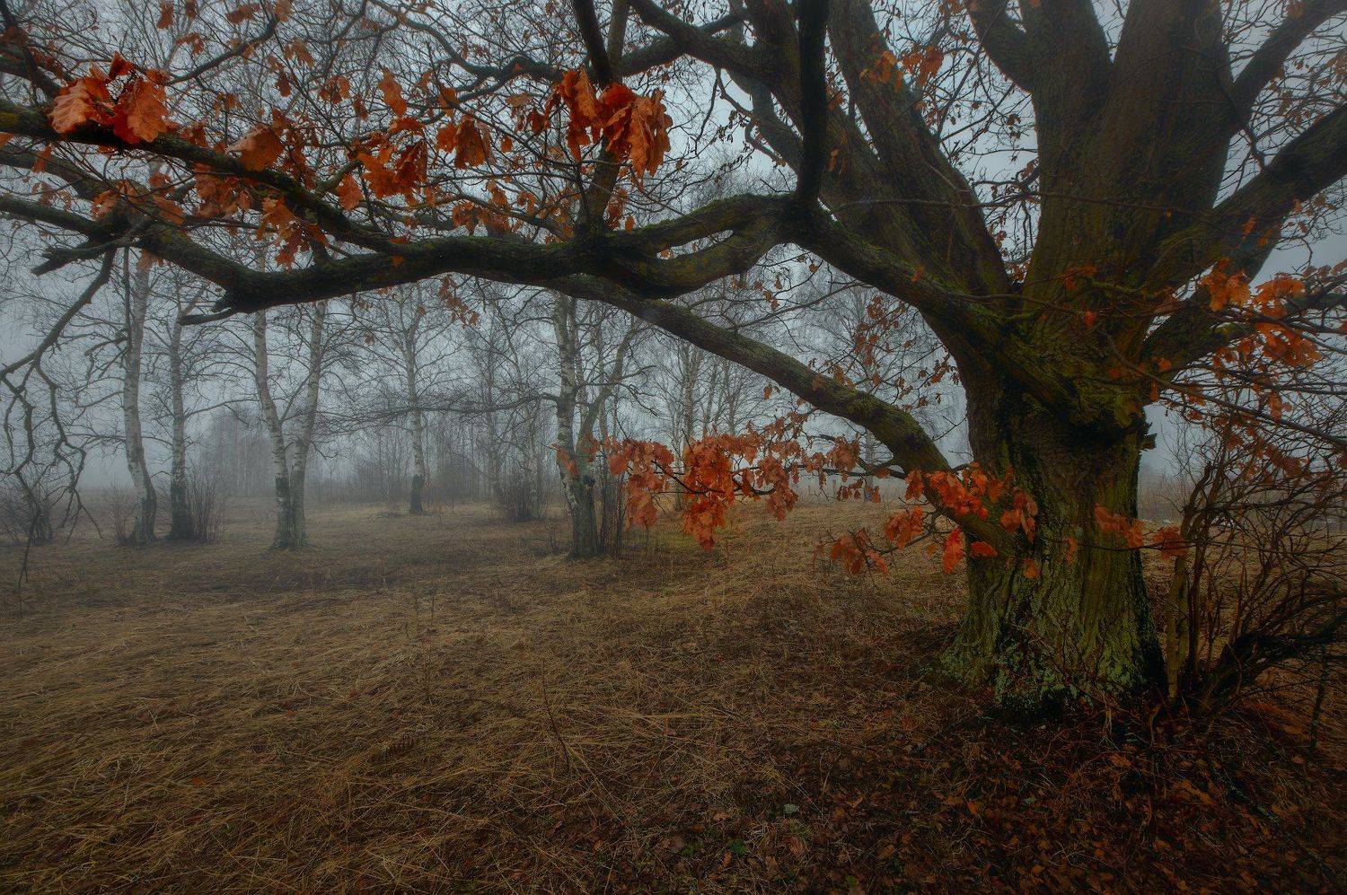 , Сергей (Bekr)