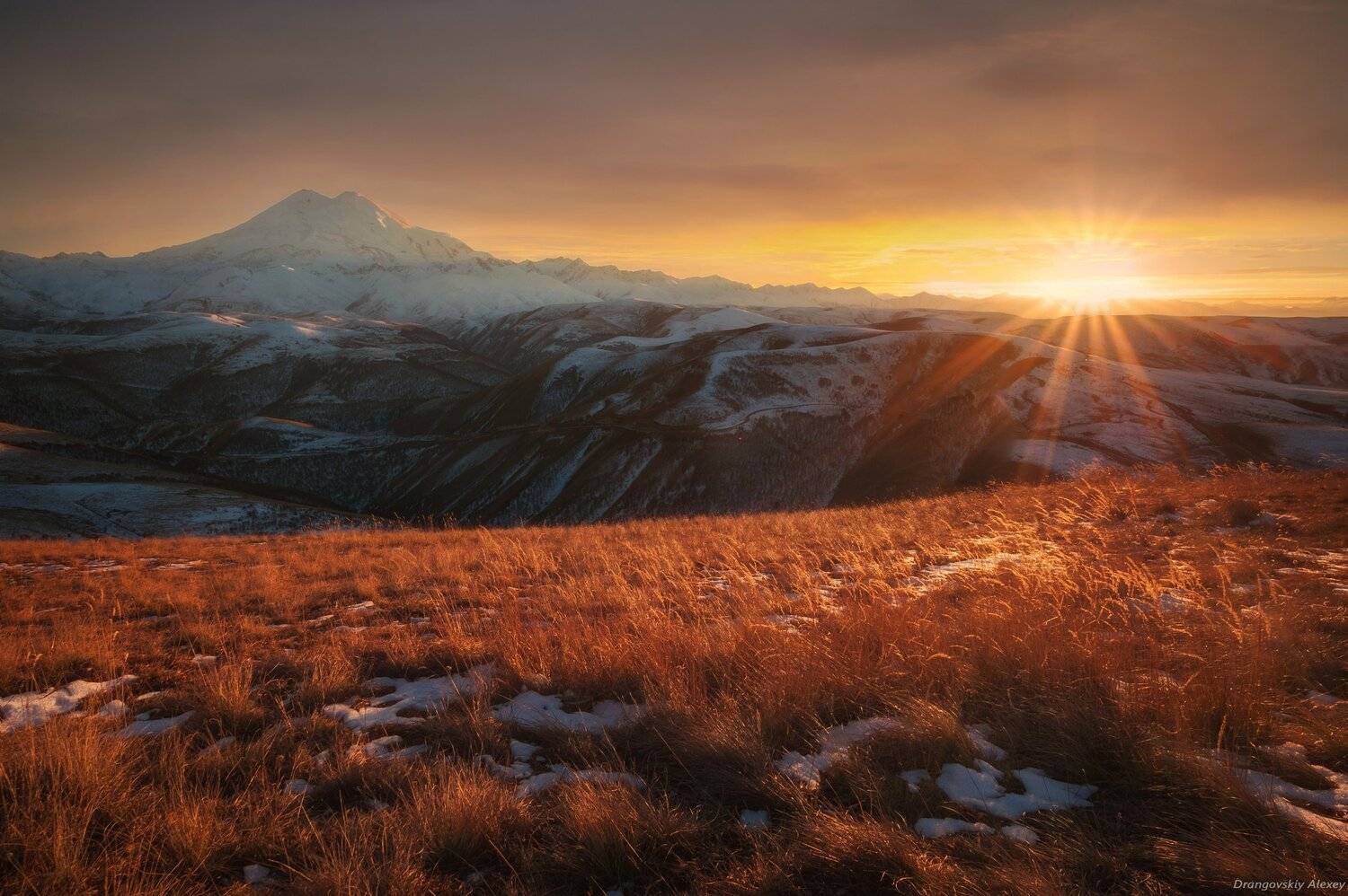, Алексей Дранговский