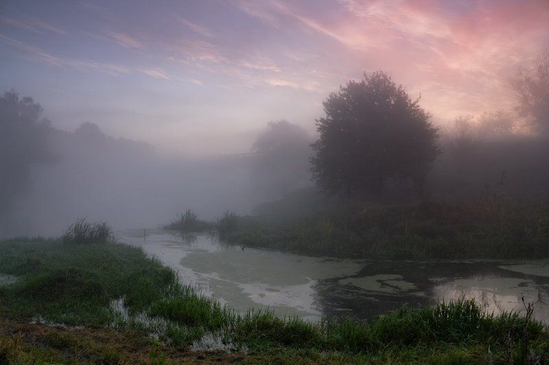 . . . фото превью