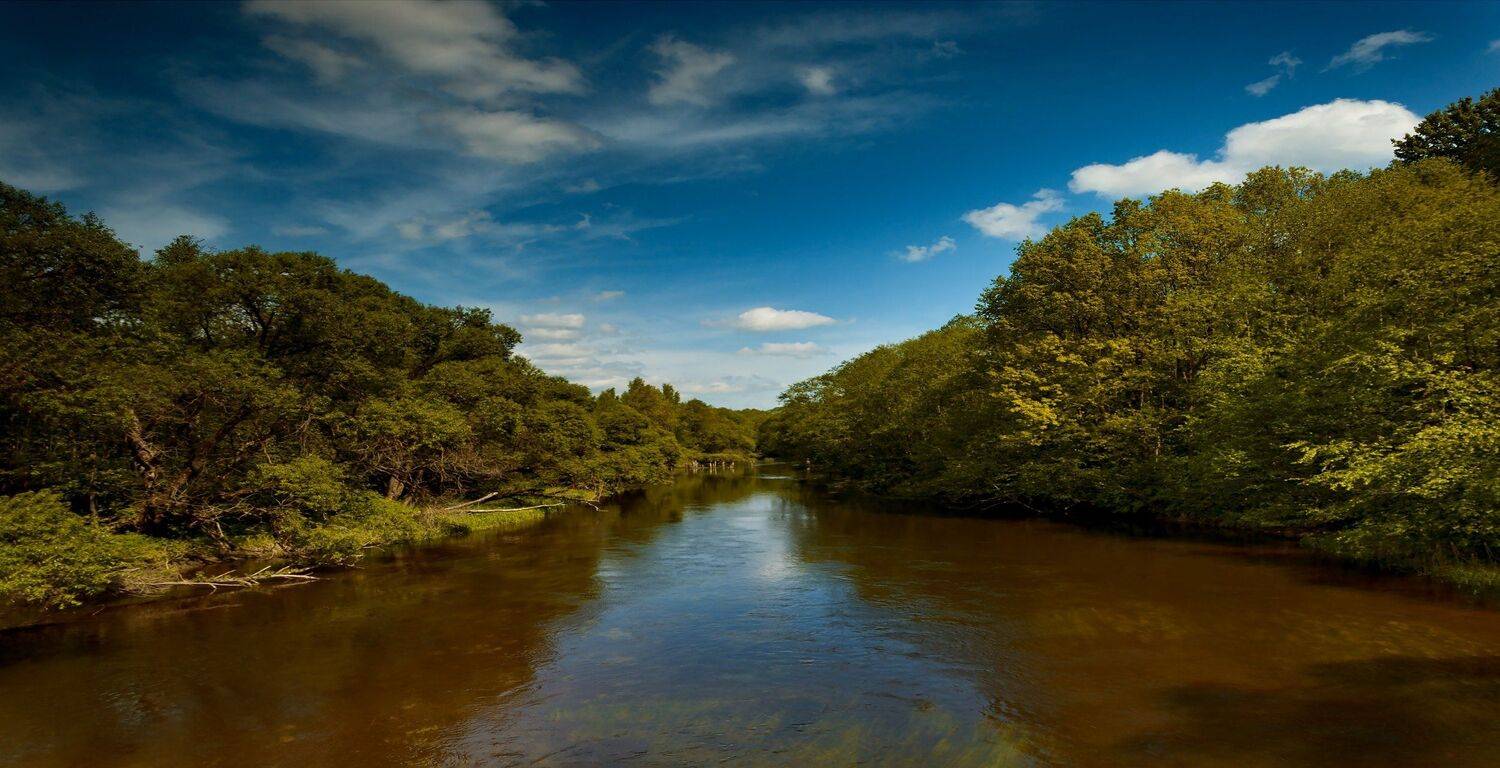 пейзаж, весна, беларусь, природа, Sixten ( Сергей )