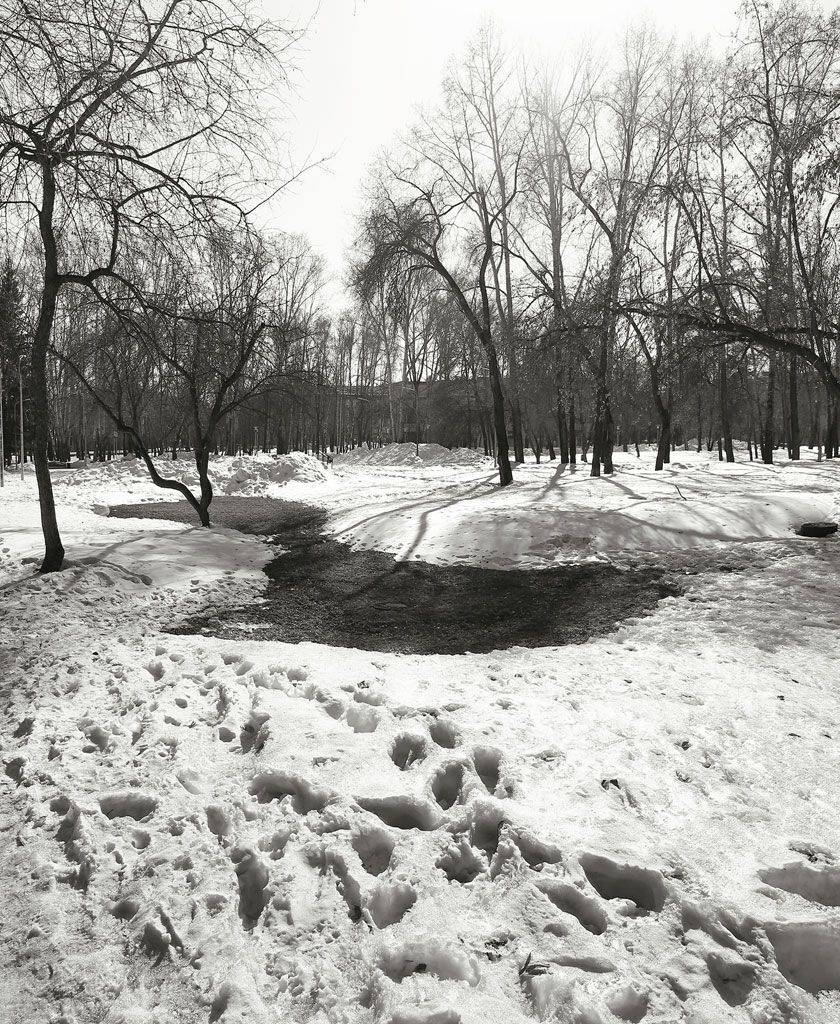 весна, март, Курочкина Диана