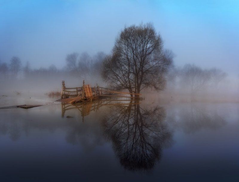 село филиповское туман весна разлив река Филипповское утро фото превью