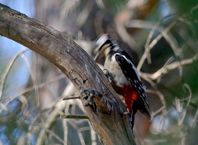 За работой фото превью