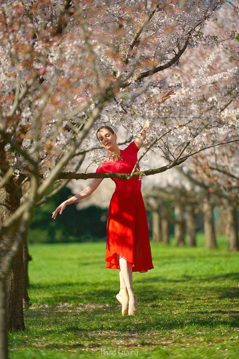 ballerina, ballet, dance, dancing, portrait,, Enzeru Akira