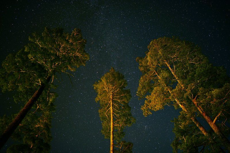 Время не спать фото превью