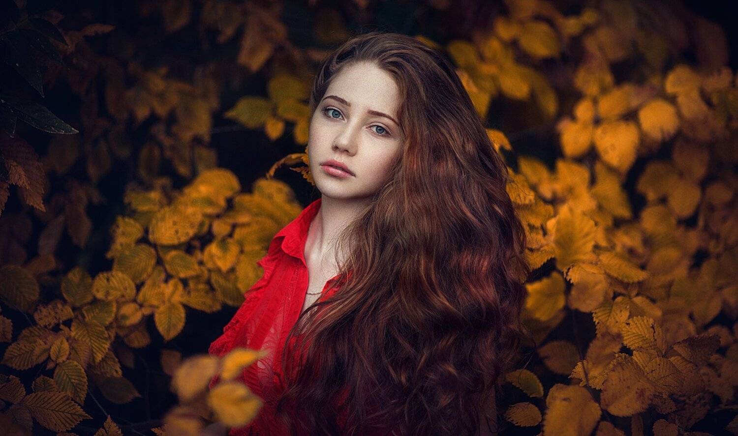 #portrait #beautiful #model #russia #moscow # #canon #sigma #natural #light #портретарт #модель #portrait #art, Hakan Erenler