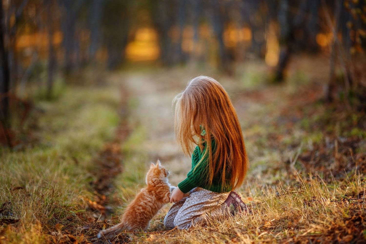 дети, осень, kids, family, children, autumn, , Анна