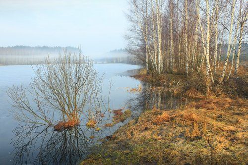 Весна приходит