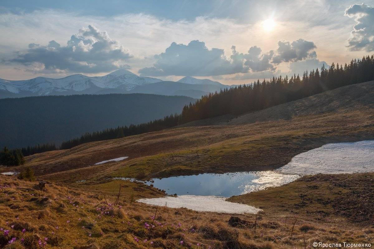 , Ярослав Тюрменко (Jaremi)