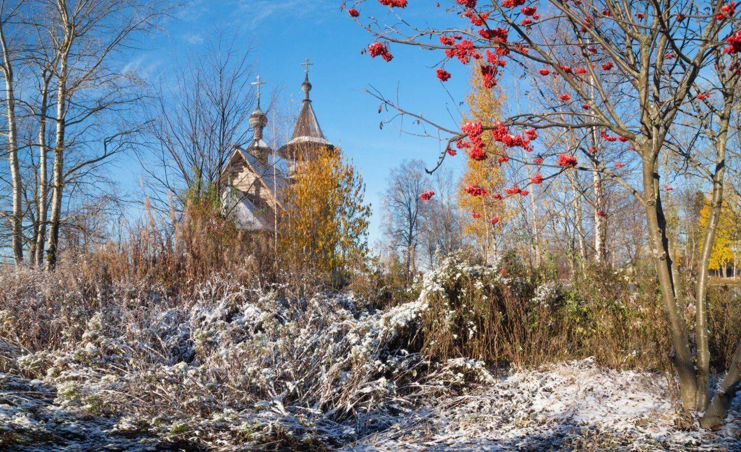 рябина, осень, золотая, храм, снег, солнце, Виктор Климкин