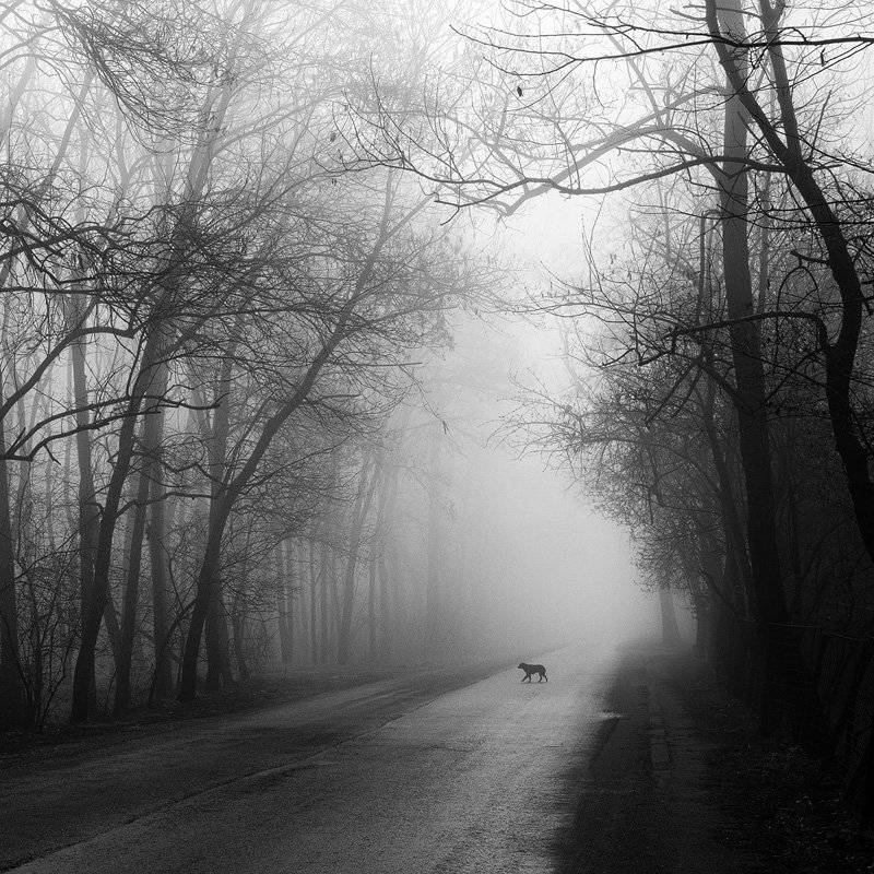 , Stefan Chirobocea