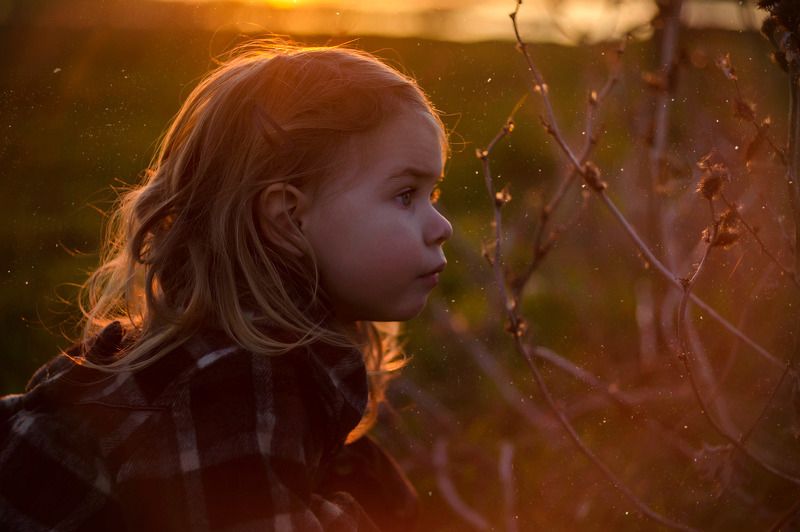 Волшебство заката фото превью