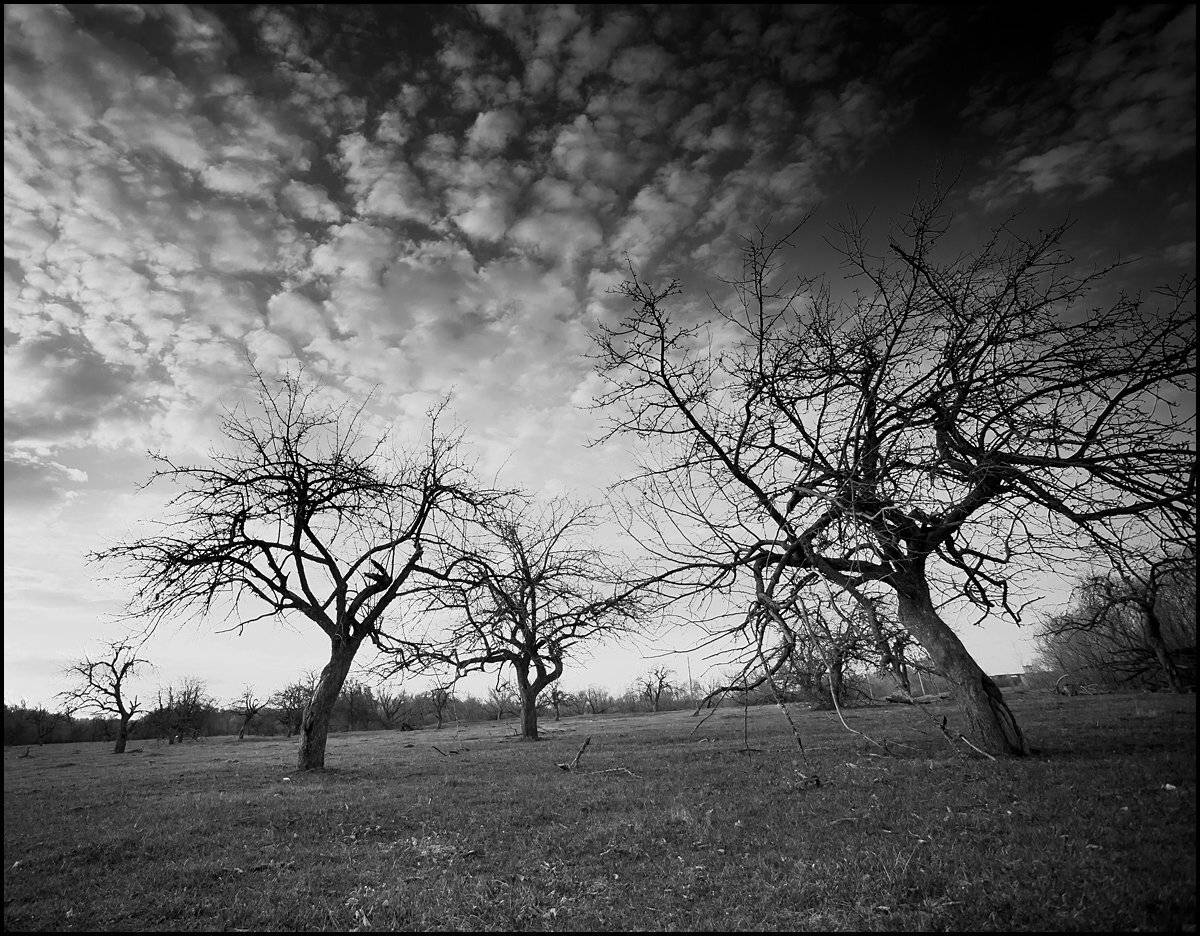 , Борисенко Денис