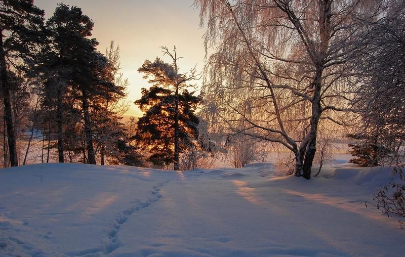Прохладное фото превью