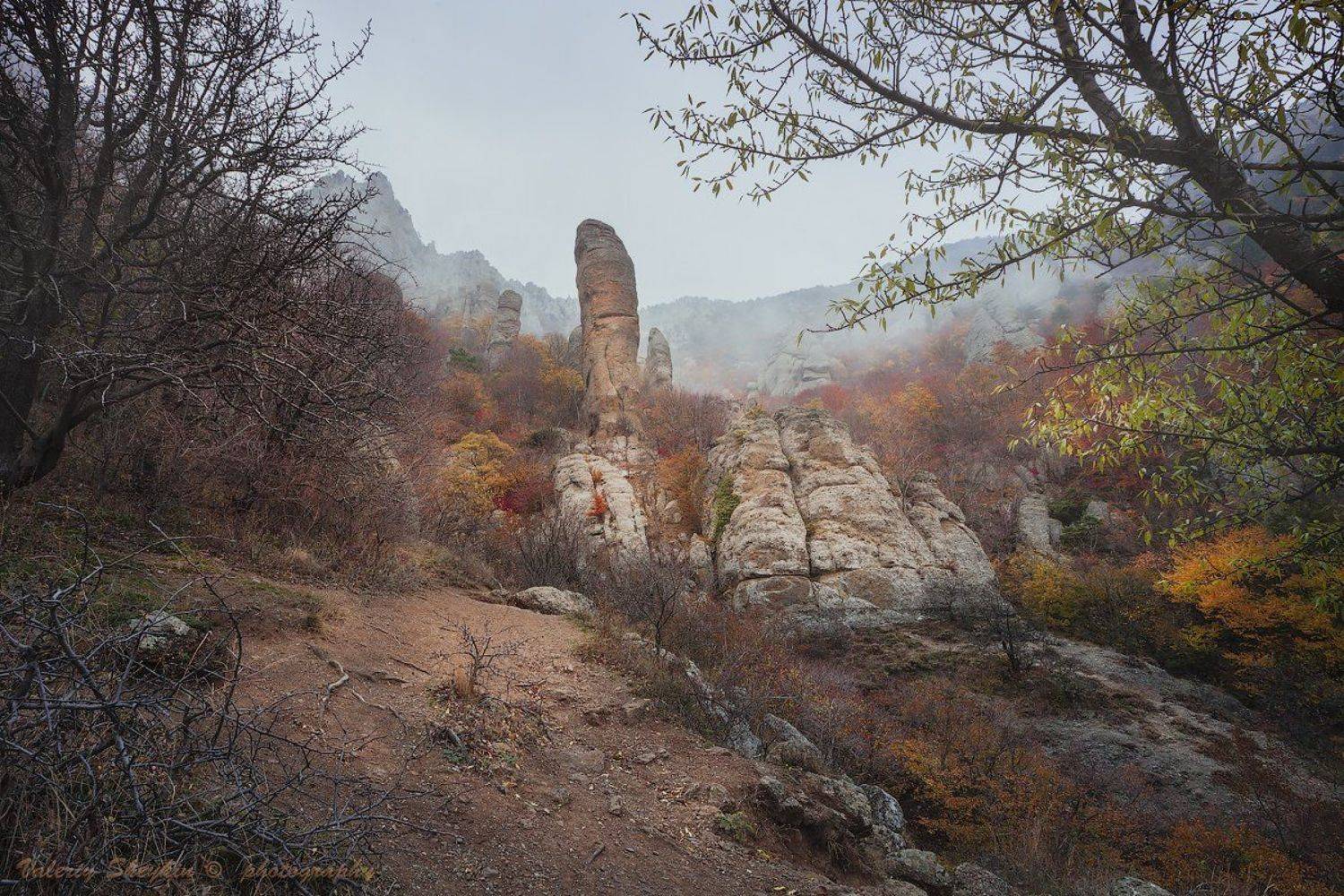 южная демерджи, Валерий Шейкин