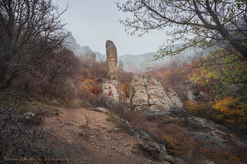 Каменные стражи