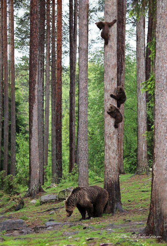 А сверху видней
