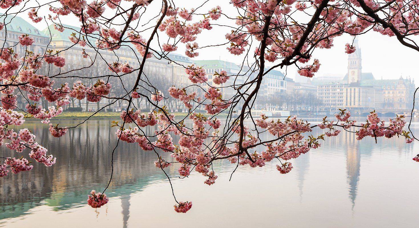 , Игорь Дубровский