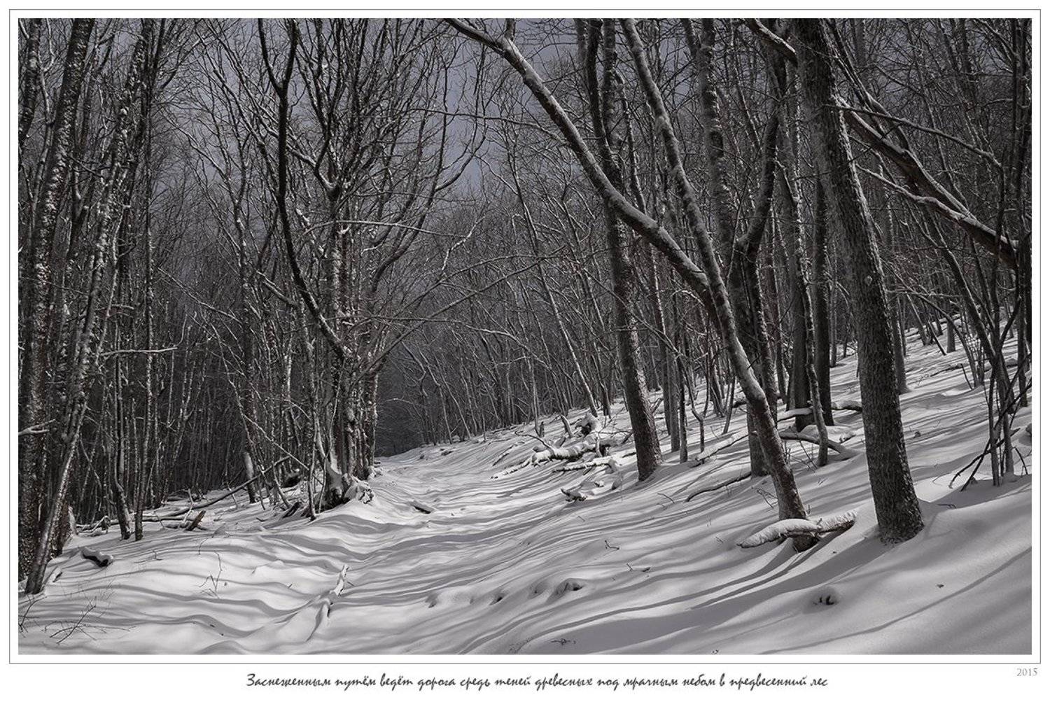 крым, апрель, весна, ай-димитрий, лес, снег, зима, анатолий покровский, Анатолий Покровский