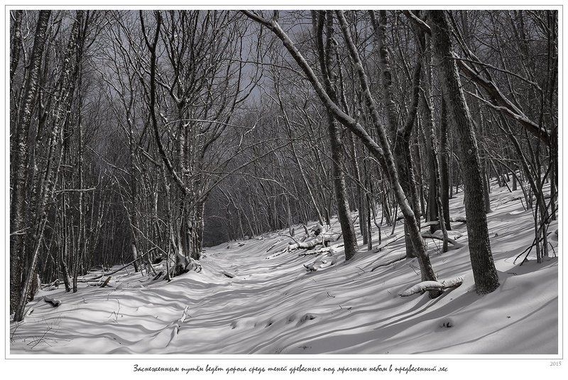 крым, апрель, весна, ай-димитрий, лес, снег, зима, анатолий покровский Заснеженным путём ведёт дорога средь теней древесных под мрачным небом в предвесенний лес фото превью