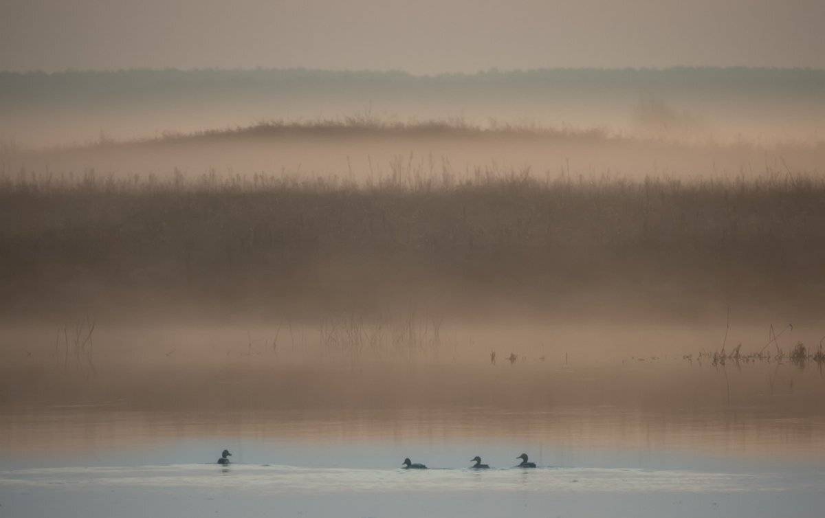 , Валерий Кондратов