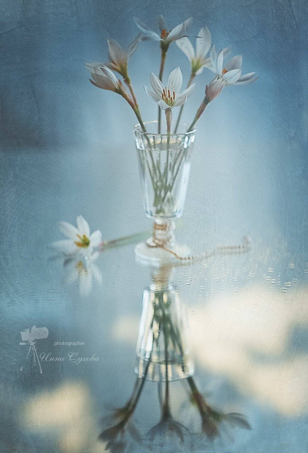 , Инна Сухова