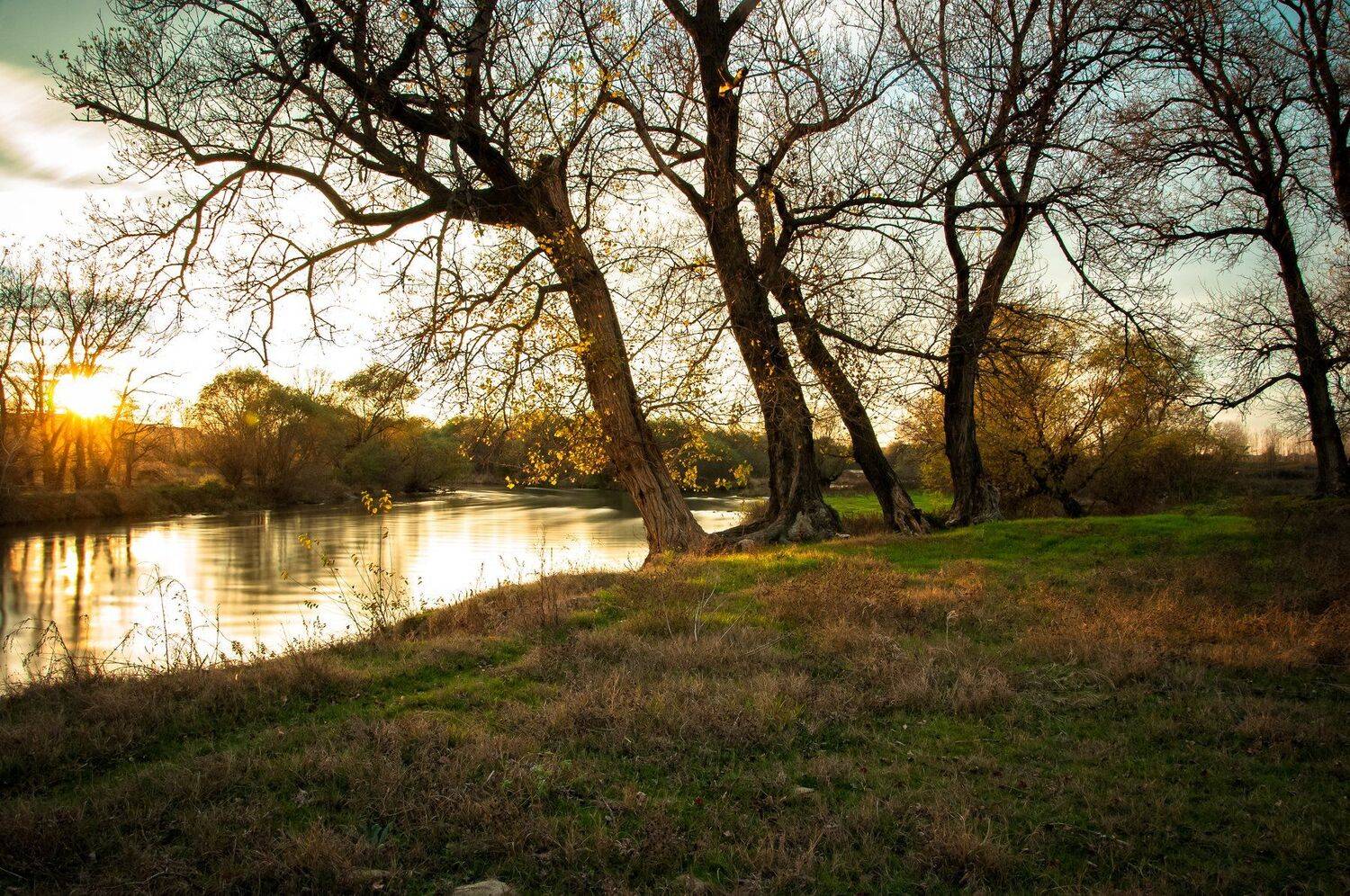 nikon d90 , Tihomir Petkov