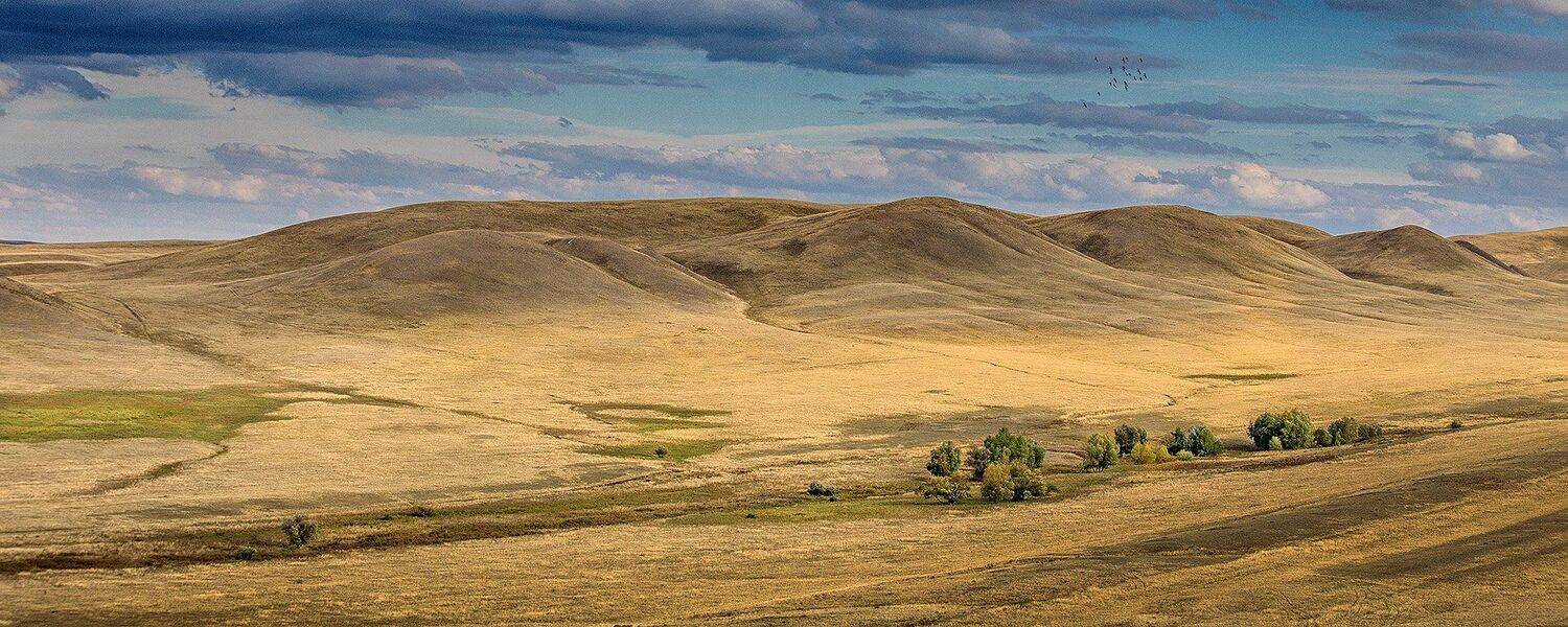 , Качурин Алексей