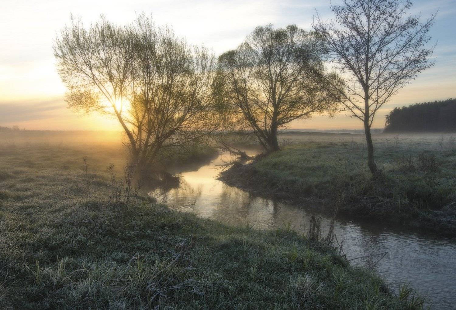 , Сергей Добровольский