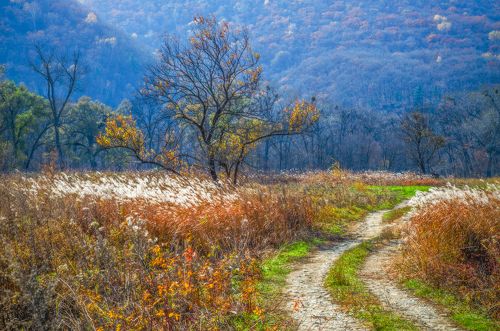 Приморский пейзаж