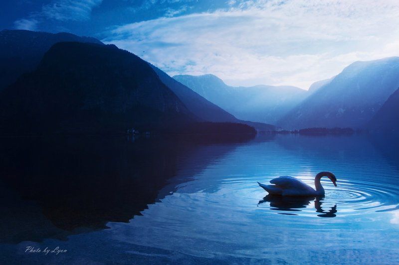 сон  вальс  фото превью