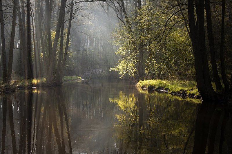... фото превью